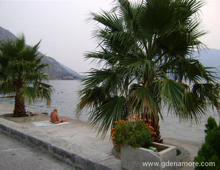 42.Plaža centar Risan